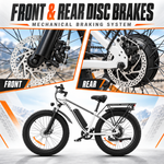 EB26 Fat-Tire-E-Bike für Erwachsene, 48 V, 15 Ah, 750 W
