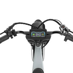 M9 Retro Electric Bike 25km/h